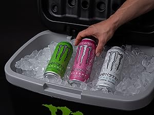Sugar-Free Energy Drink 16oz | 0 Cal, 0 Sugar - 15 Cans